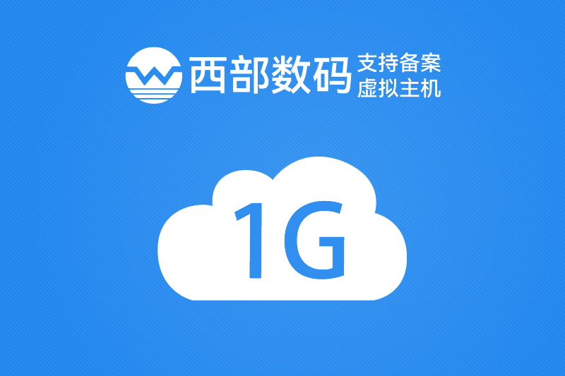 西数全能 1G 西数全能 1G
